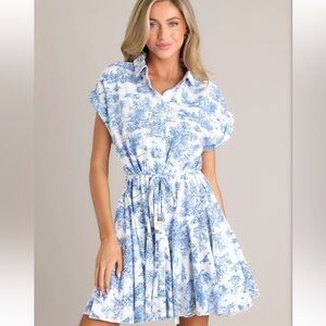 Blue Toile Mini Dress